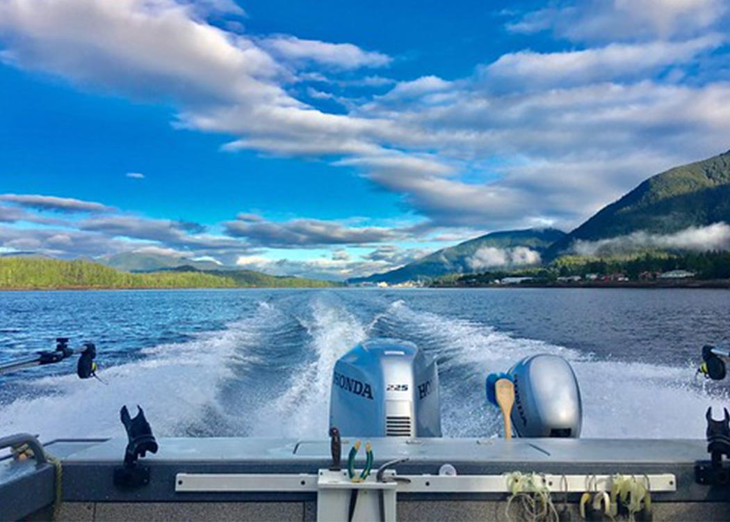 Alaska Fishing: Cook your Catch Tour Image 8