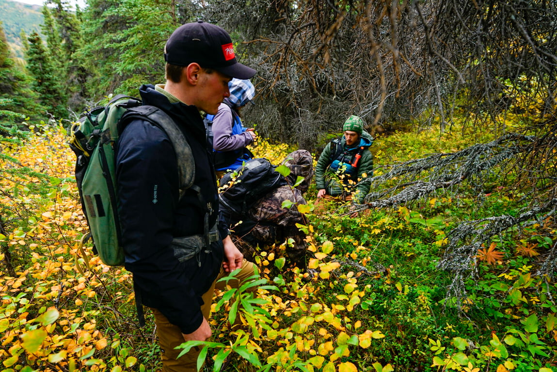 Denali Wilderness Survival Tour Tour Image 8