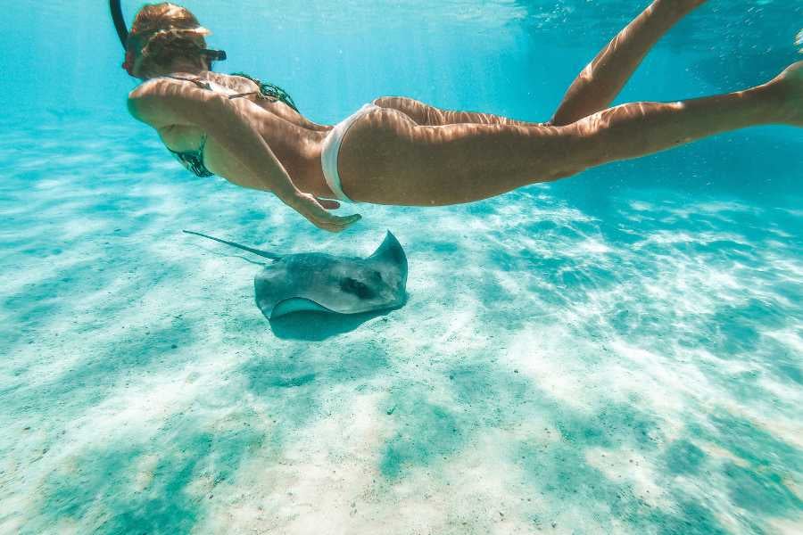 A woman snorkels alongside a stingray, moving effortlessly through the sparkling blue waters.