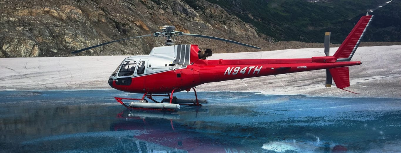 Skagway Glacier Discovery Helicopter Tour Tour Image 13