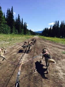 Highlight of our trip! review image 0