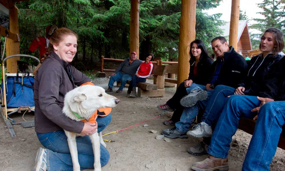 Skagway Sled Dog and Musher's Camp Tour Image 13
