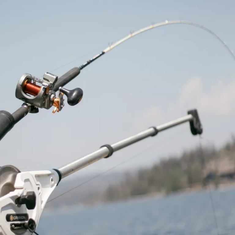 Flathead Lake Fishing Charter - Half-Day Tour Image 9