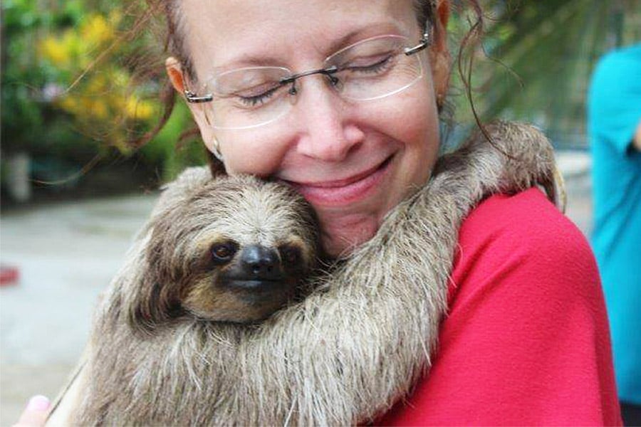 Sloths in Roatan
