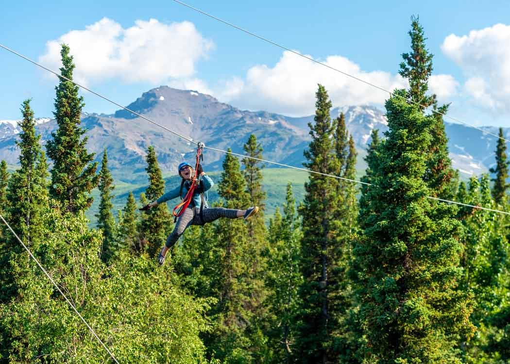 Unveiling the Wonders of Denali Park Road: A Local Expert’s Guide