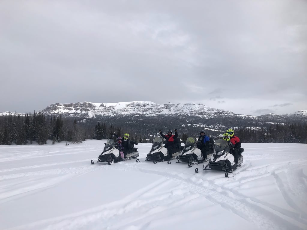 Private Powder Ride Snowmobile Experience Tour Image 6