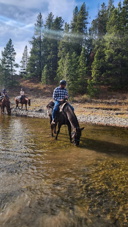 Horseback Trail Ride - Half-Day Tour Image 3