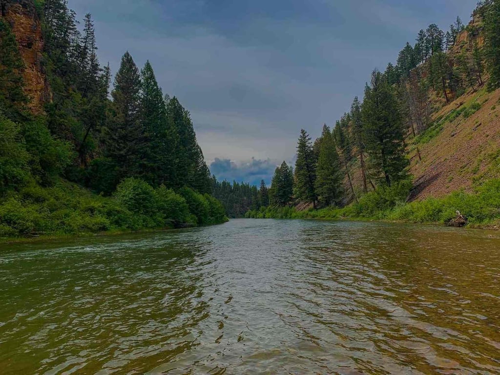 Blackfoot River Fly Fishing Tour Image 3