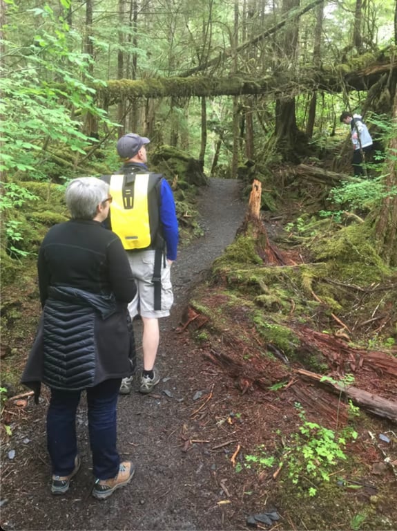 Private Old-Growth Creek Hiking Tour image