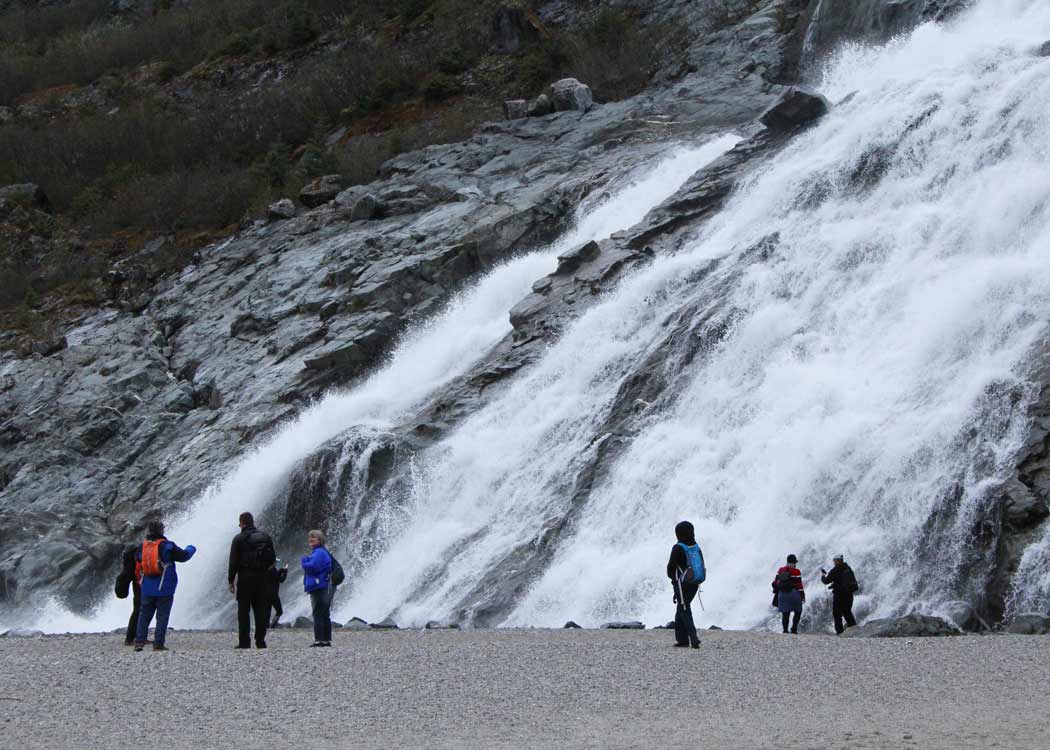 Whale Watching & Mendenhall Glacier Tour Tour Image 15