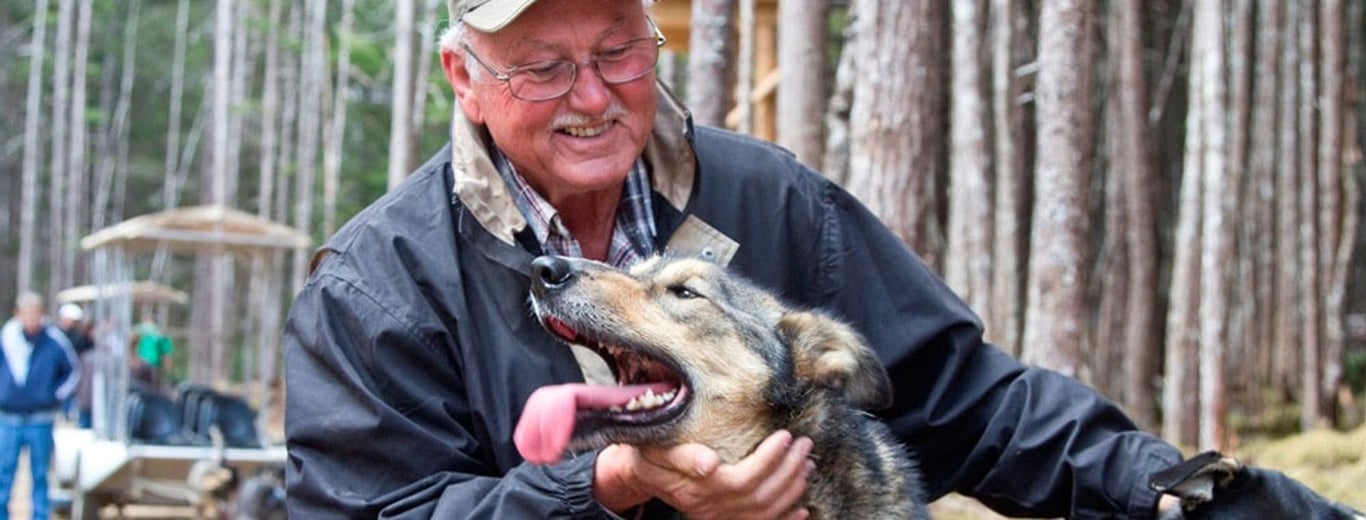 Skagway Sled Dog and Musher's Camp image