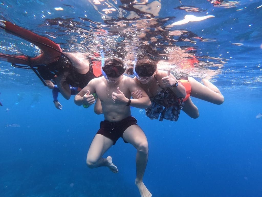 Cozumel Snorkeling Tour: Palancar, Colombia & El Cielo Reefs Tour Image 8