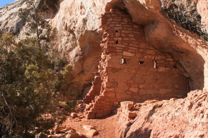 Canyons of the Ancients Tour image