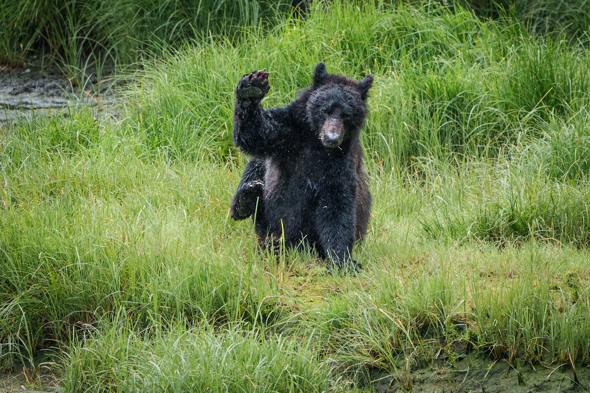 Private Ketchikan Sightseeing Tour Tour Image 7