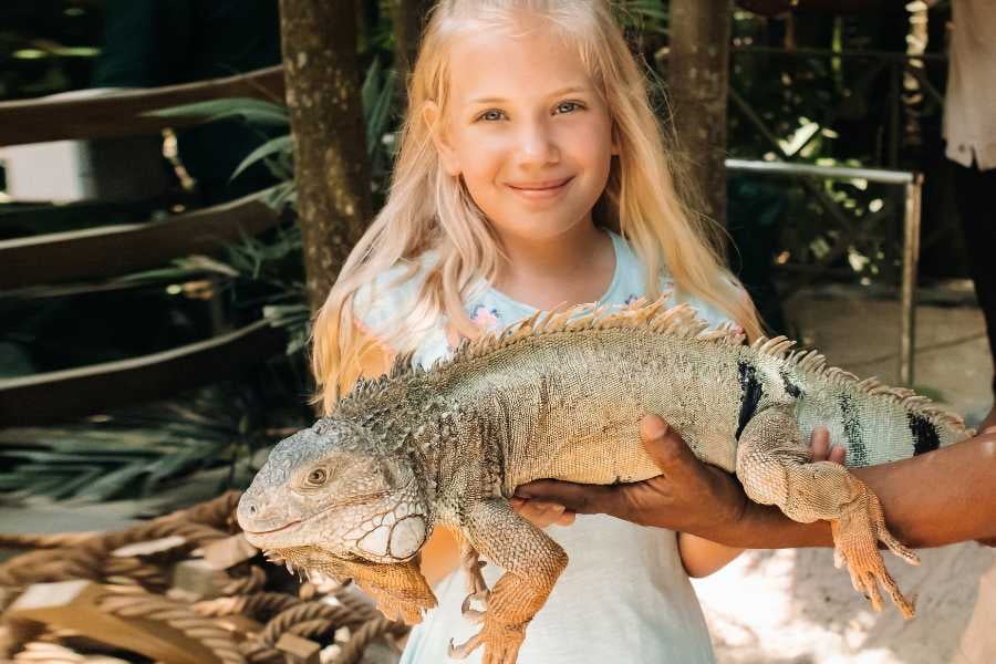 A young girl smiles while holding an iguana gently in her hands.