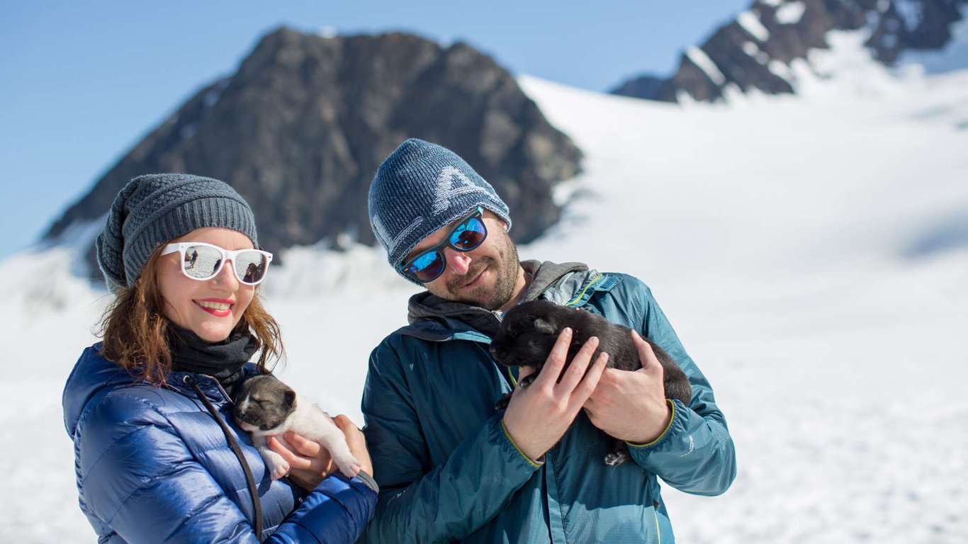 Anchorage Helicopter and Glacier Dogsled Tour Tour Image 8