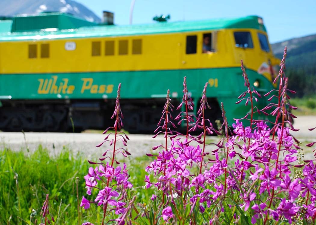 White Pass Train & Bike Tour Image 9