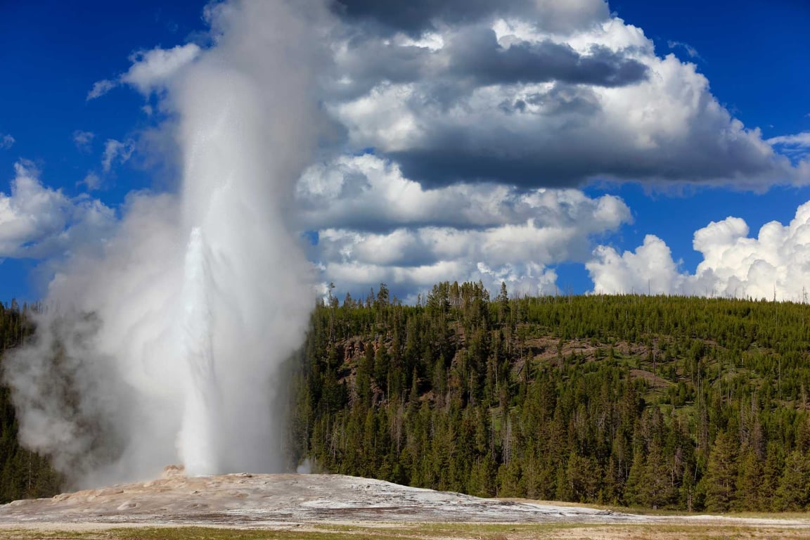 Yellowstone Private Thermal Basins Geyser Journey Tour Image 2