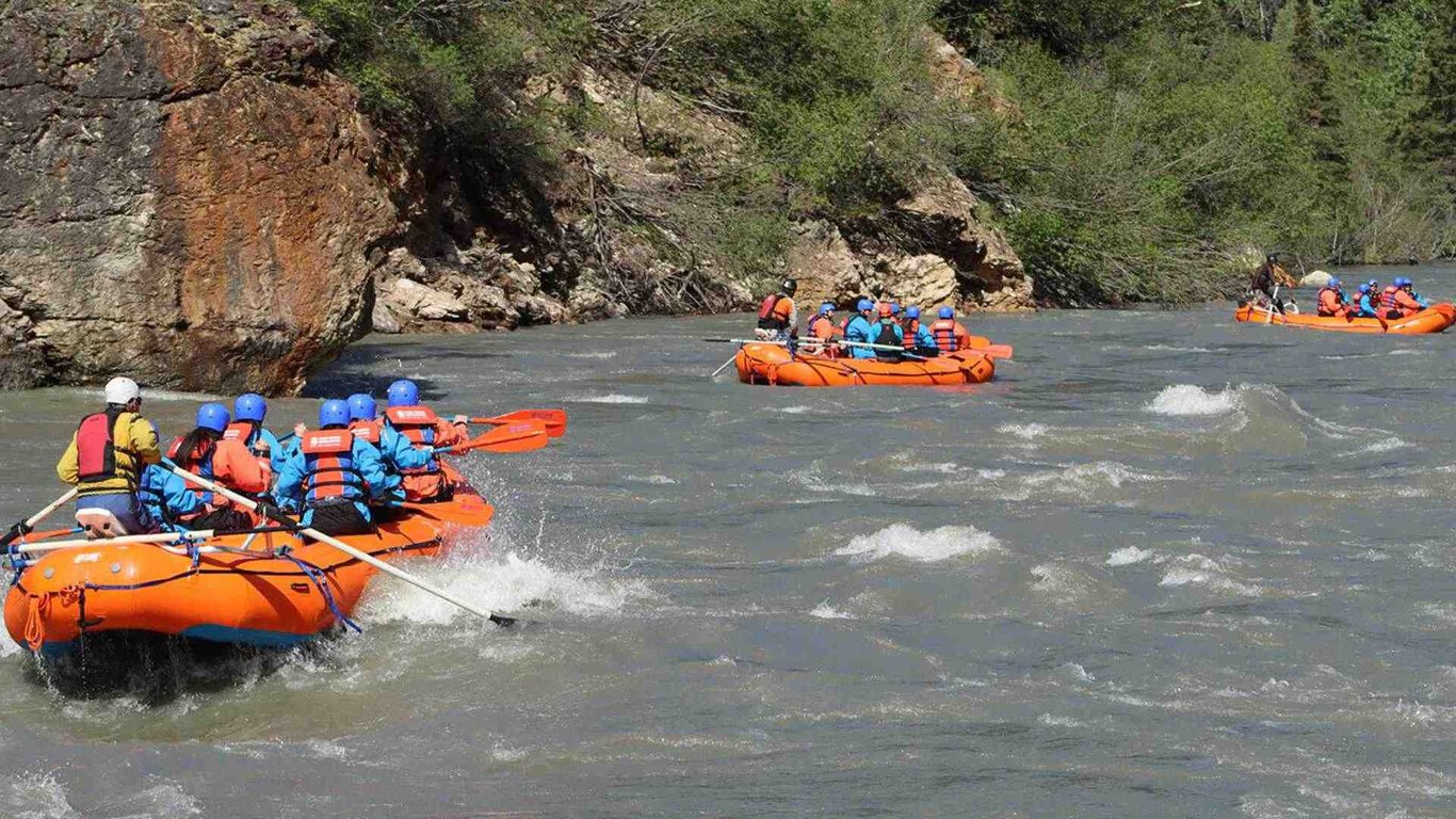 Denali Whitewater Rafting Combo Tour image