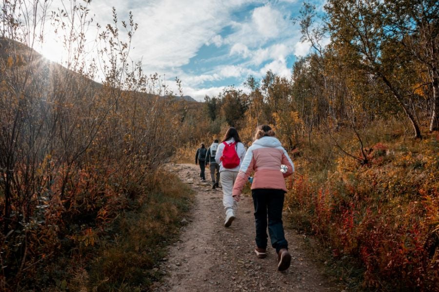 Group hiking a forest trail in Yellowstone.
