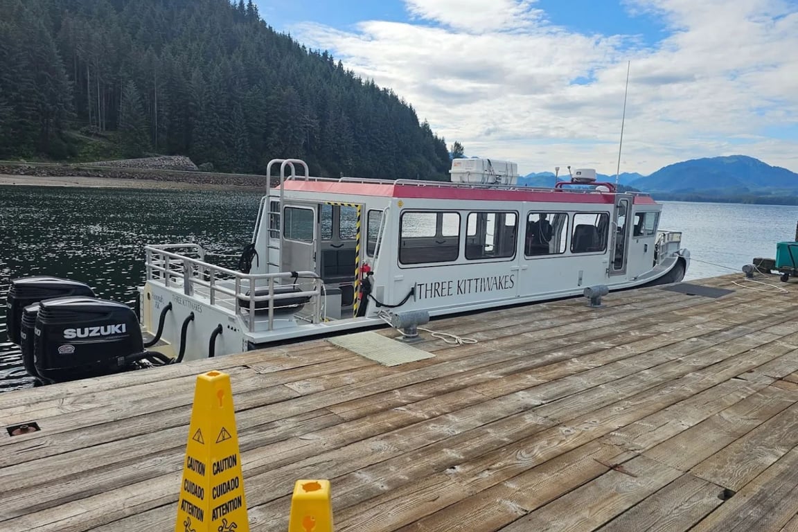 Guaranteed Whale Watching Catamaran Cruise image