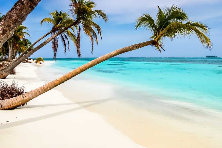 A tropical beach with white sand, leaning palm trees, and bright blue water.