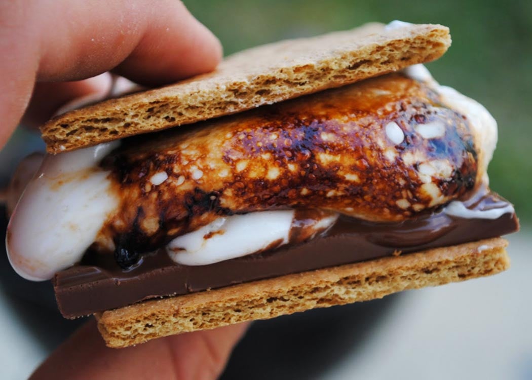 S'mores & Musher Camp Tour Image 1