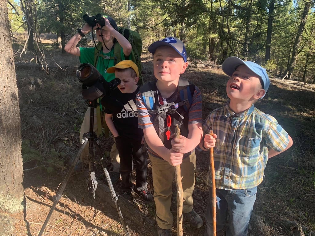 Private Hiking & Hot Springs From West Yellowstone Tour Image 3