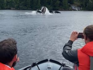 Marine Fast Boat Adventure Tour Image 2
