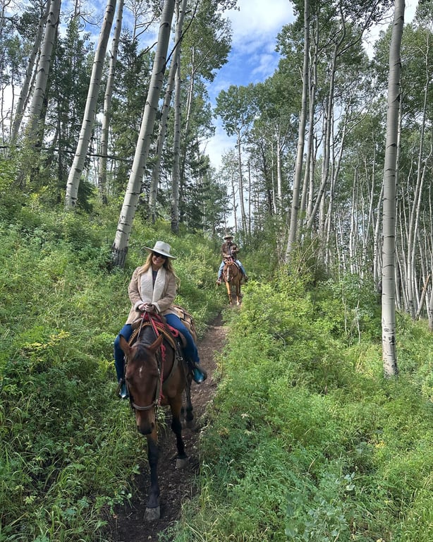 Horseback image