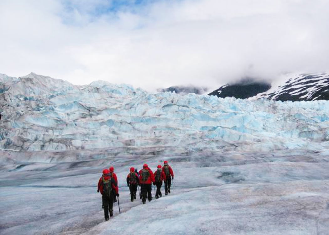 The Best Juneau Shore Excursions of 2025