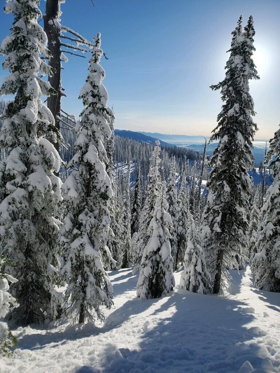 You can't say you've seen Whitefish until you look down from the top of the mountain. review image 2