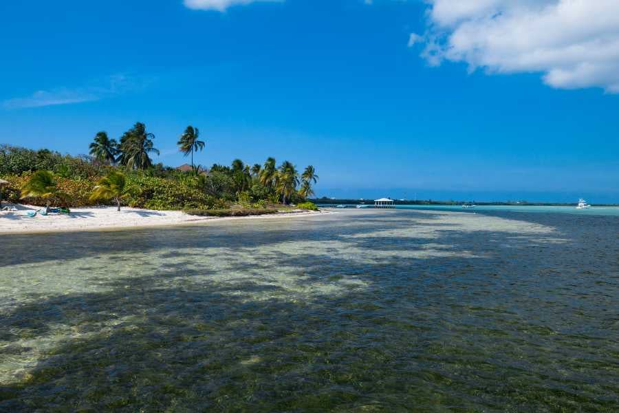 A beautiful view of the beach