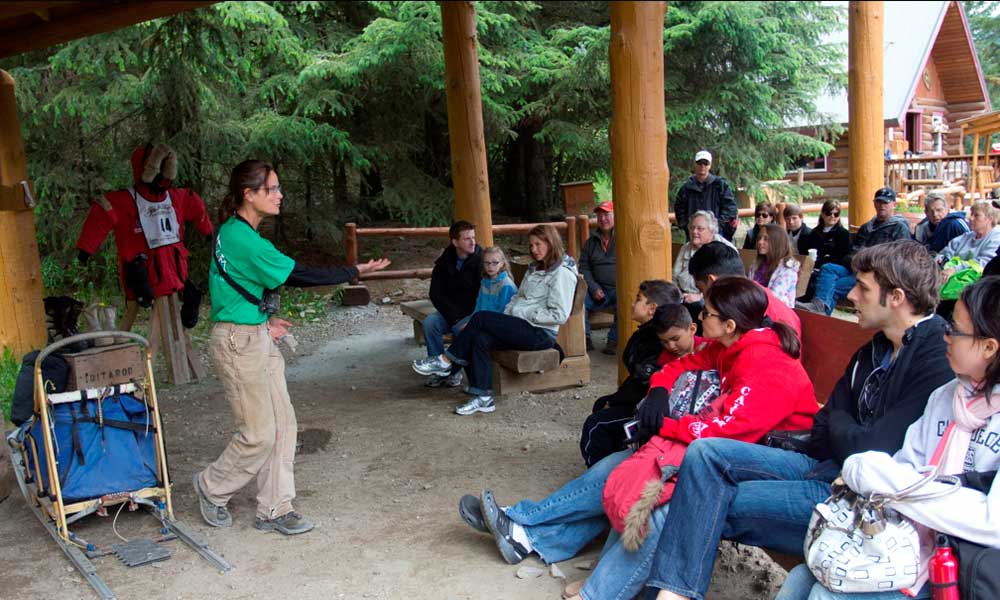 Skagway Sled Dog and Musher's Camp Tour Image 16