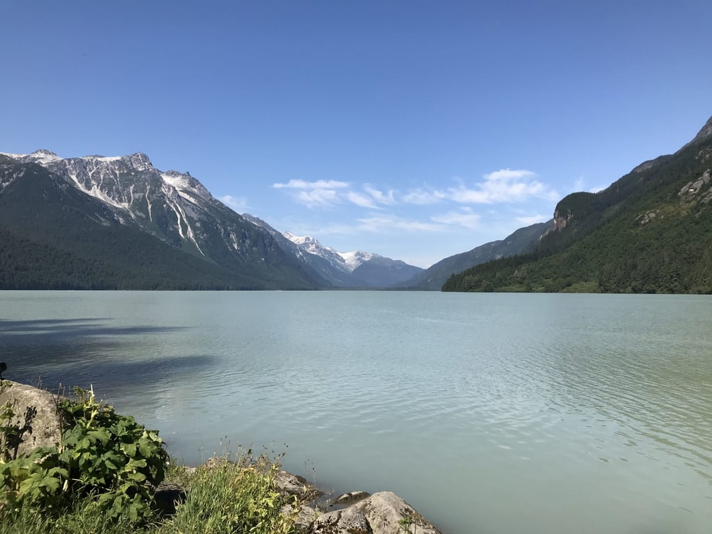 Wildlife safari and bear viewing review image 2