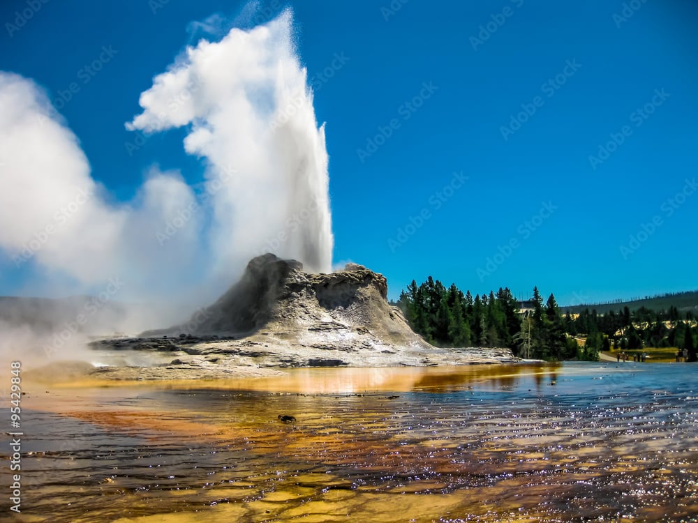 Yellowstone Highlights Tour image