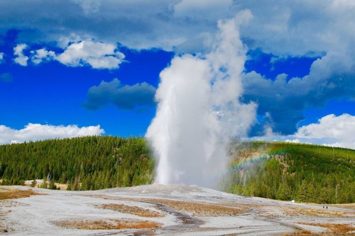 Yellowstone Private Thermal Basins Geyser Journey Tour Image 4