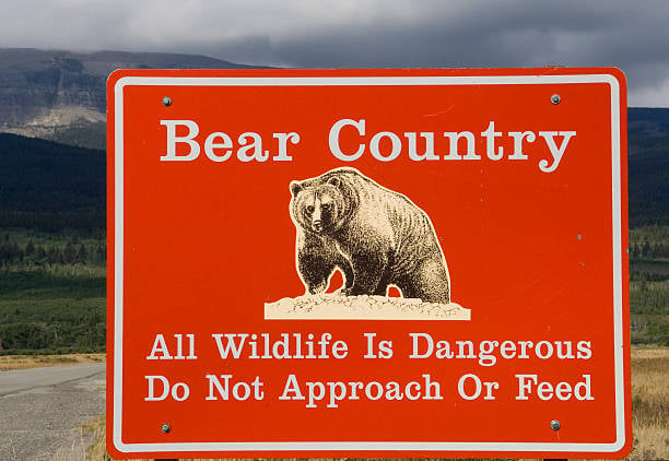 A sign that reads Entering Bear Country