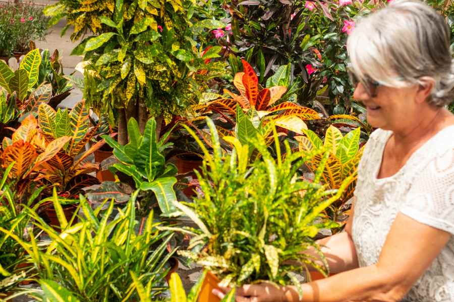 A woman is fixing flower petals