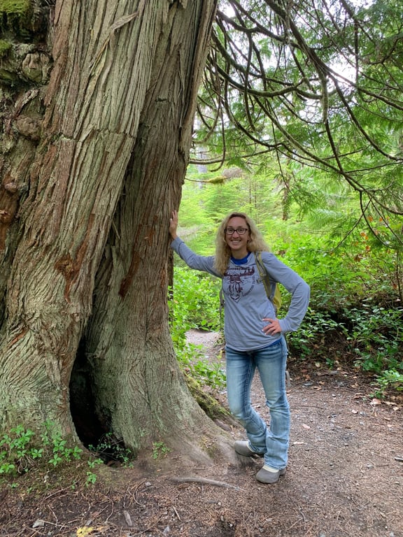 Old-Growth Creek Hiking Tour Tour Image 7
