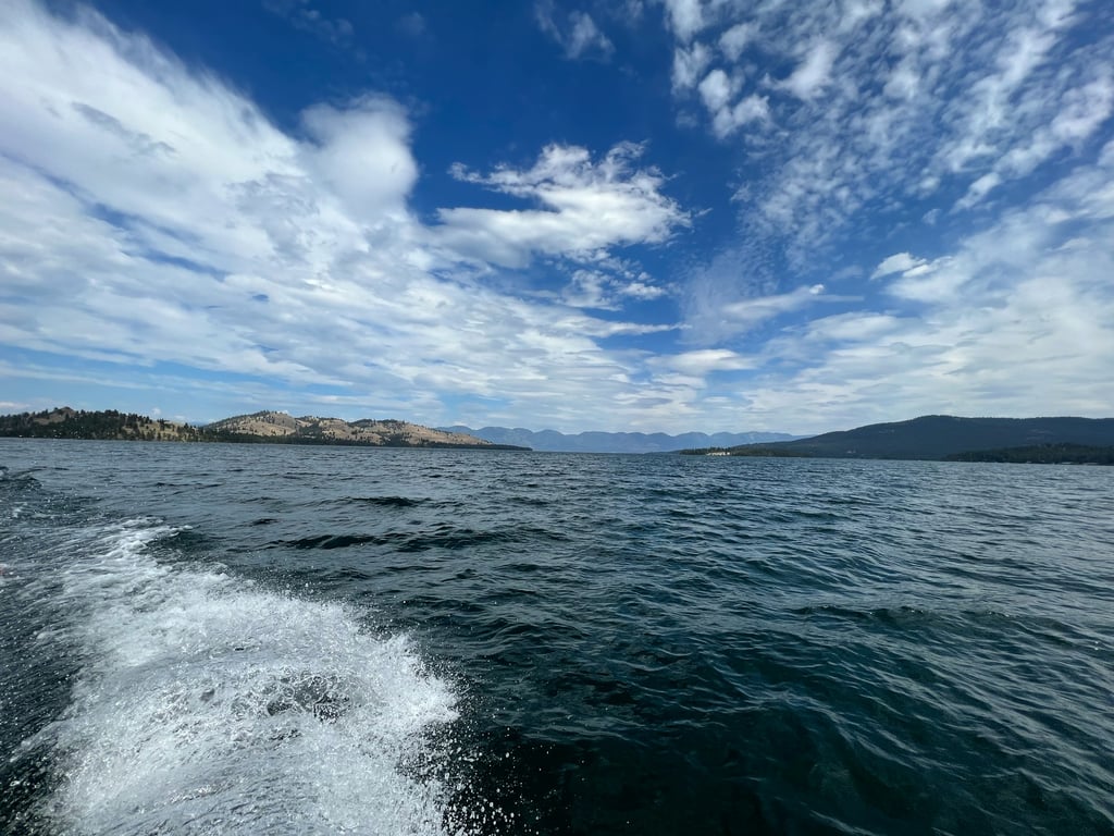 Wild Horse Island Scenic Boat Tour Tour Image 7