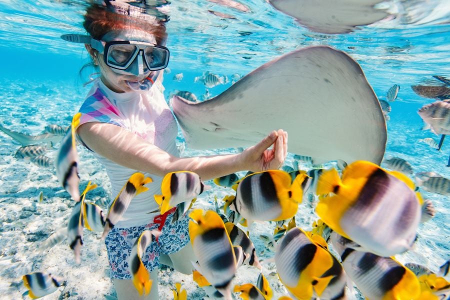 A child snorkeling, gently interacting with a stingray while colorful fish swim nearby in crystal-clear water.