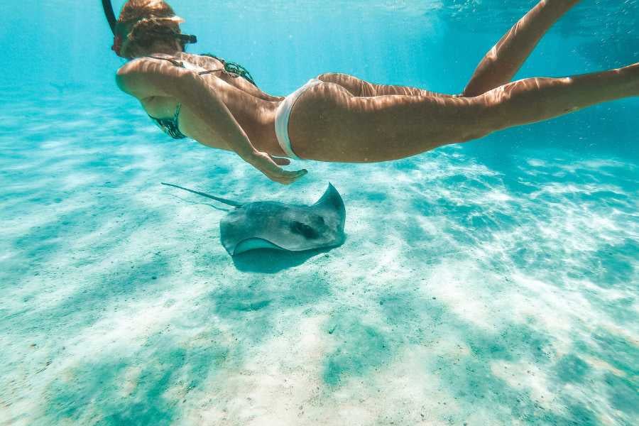 A girl swims with a friendly stingray in clear blue water