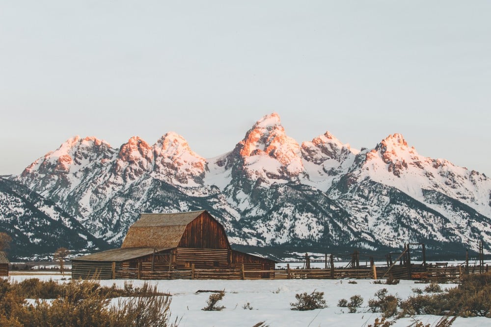 Private Winter Grand Teton Day Tour image