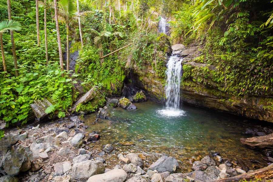 A serene jungle waterfall flows into a crystal-clear pool surrounded by lush greenery and rocky terrain.