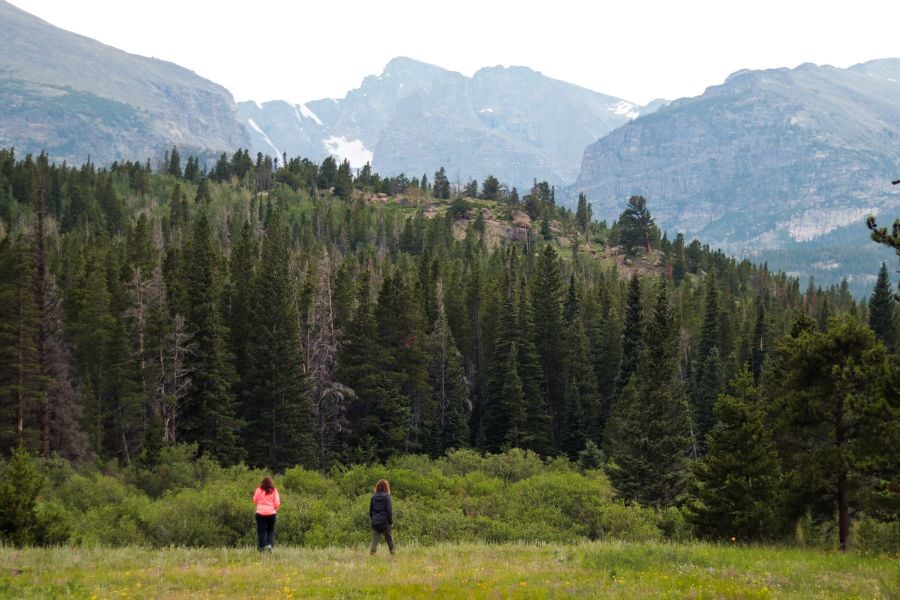 Two hikers admire tall pine forests and rugged mountain peaks.