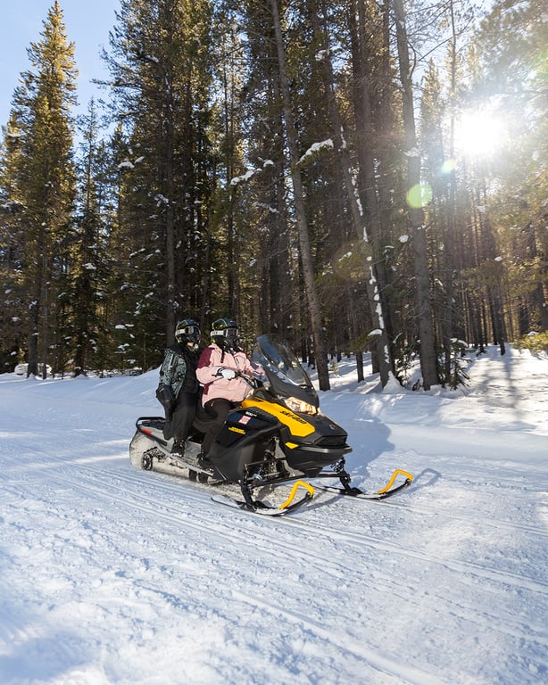 Alpine Express Two Hour Snowmobile Tour Tour Image 5