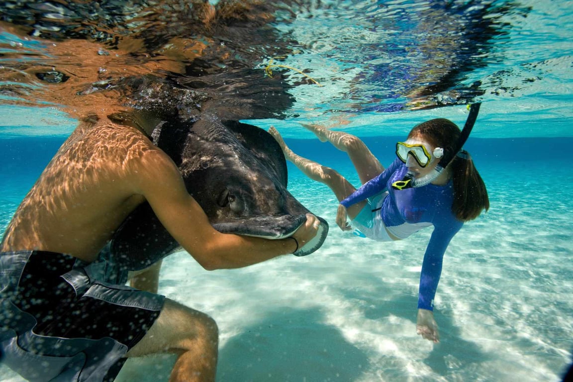 Stingray City category image