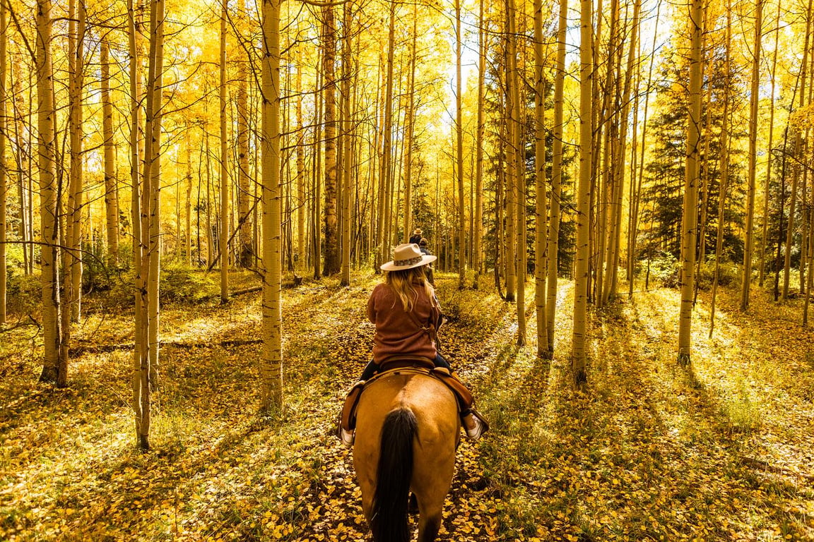 Horseback Trail Rides Private 2 Hours  Tour Image 7