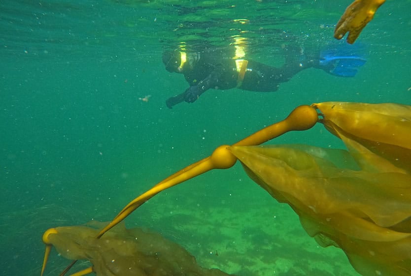 Mountain Point Snorkeling Adventure Tour Image 3